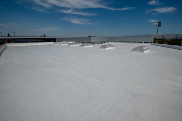 Best Roof Moss and Algae Removal  in North Mankato, MN