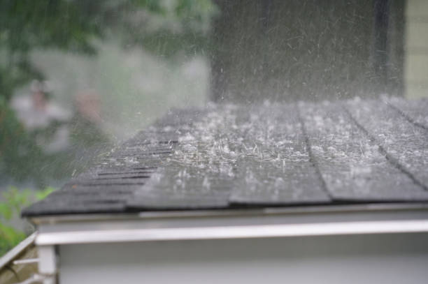 Best Wood Shake Roofing  in North Mankato, MN