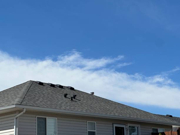 Best Skylight Installation and Repair  in North Mankato, MN